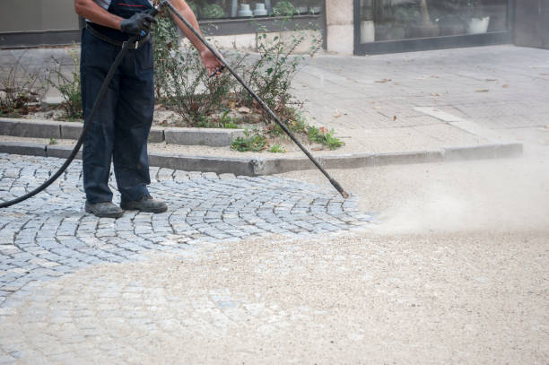 Professional  Pressure Washing Services in Toledo, OR